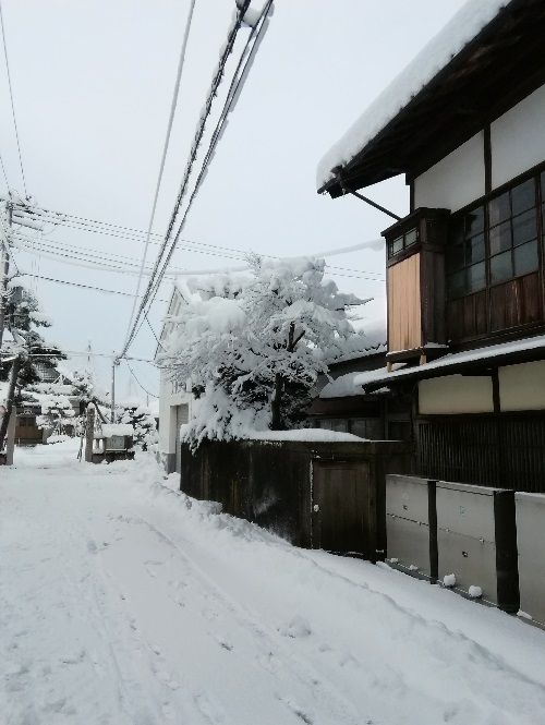20180112雪.jpg