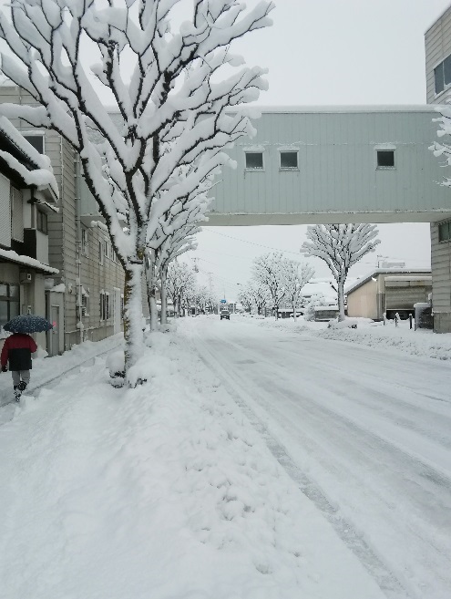 20180112雪2.jpg